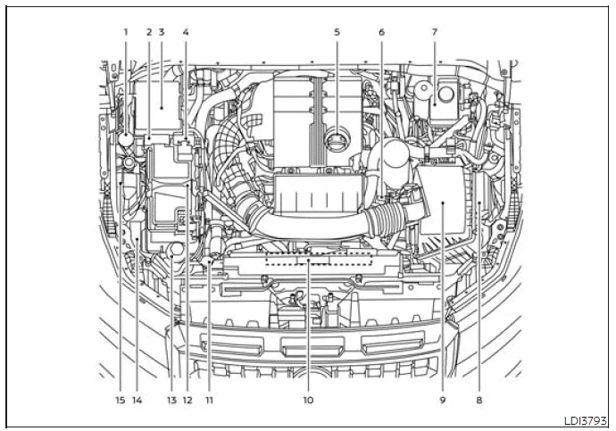 Nissan Frontier engine compartment layout with fluid reservoirs and components