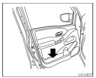 Nissan Frontier front door storage pocket for bottles and small items