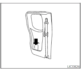 Nissan Frontier rear door storage pocket Type A for passenger convenience